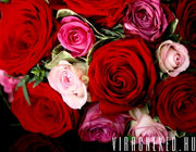 Dobogó szív! Kerek rózsacsokor vörös és halvány rózsákból - viragneked.hu