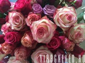 RózsaNeked - színes rózsacsokor - viragneked.hu
